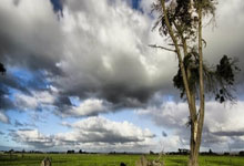 执教同一支国家队场次排行榜：德尚带法国队167场升第3，勒夫第2.