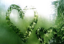 [英超]迪亚斯两球 利物浦完胜伯恩茅斯.