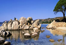 半岛体育官网：亚冬会：中国队包揽自由式滑雪女子大跳台金银铜牌.